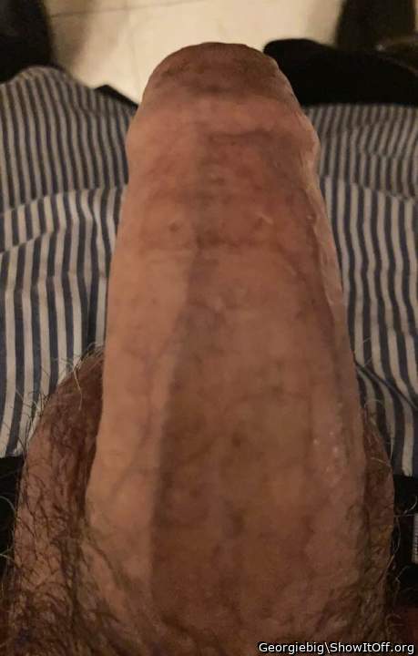Photo of a dong from Georgiebig