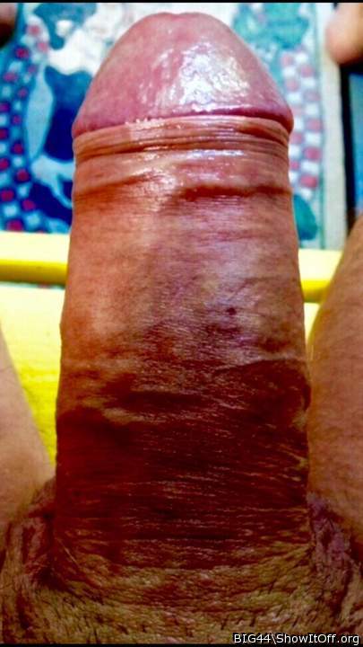 Master Daddy Dick