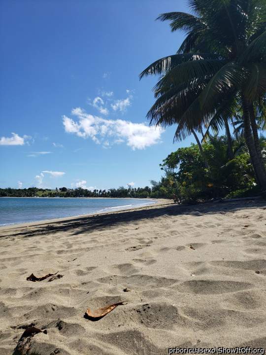 Playa beach punta salinas