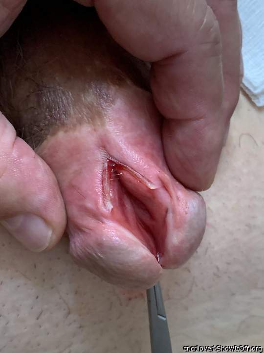 After cutting