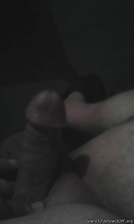 Photo of a middle leg from Viers32