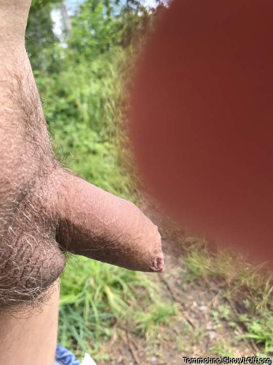 Naked in the woods