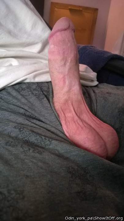 beautiful dick 