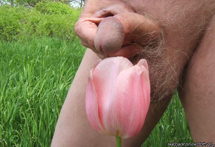 Very nice glans.