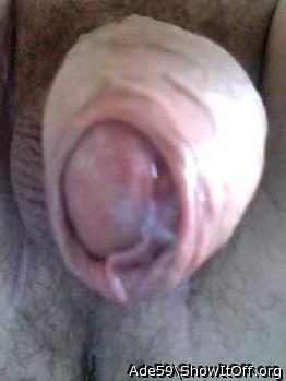 Photo of a dong from Ade59