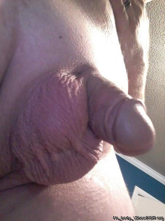 Photo of a snake from No_body_