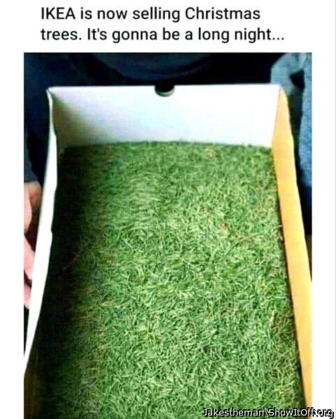 Photo of a member from Jakestheman