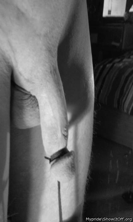 Photo of a power tool from Mypride