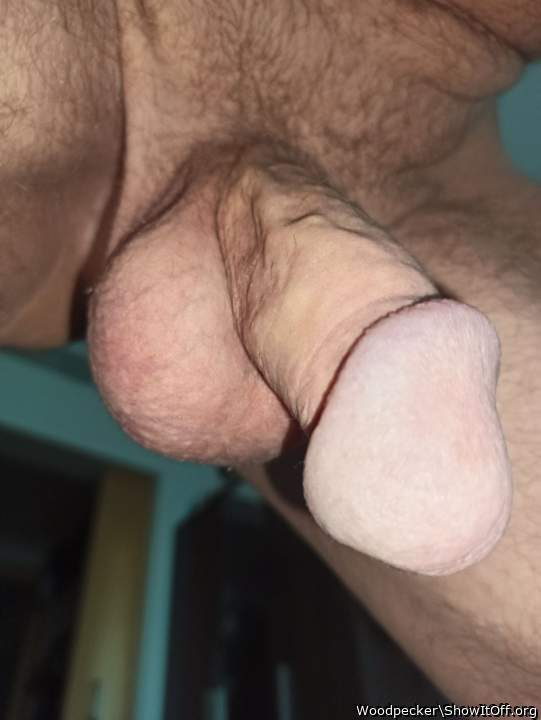 Great head on your cock.   
