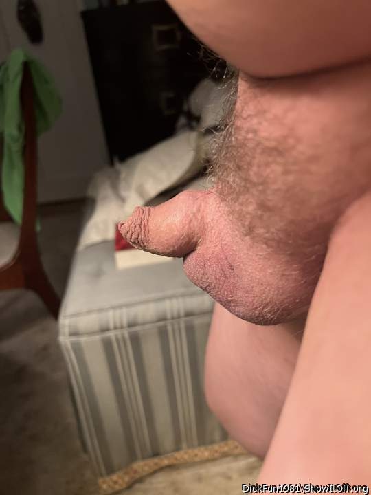 Photo of a love stick from DickFun1981