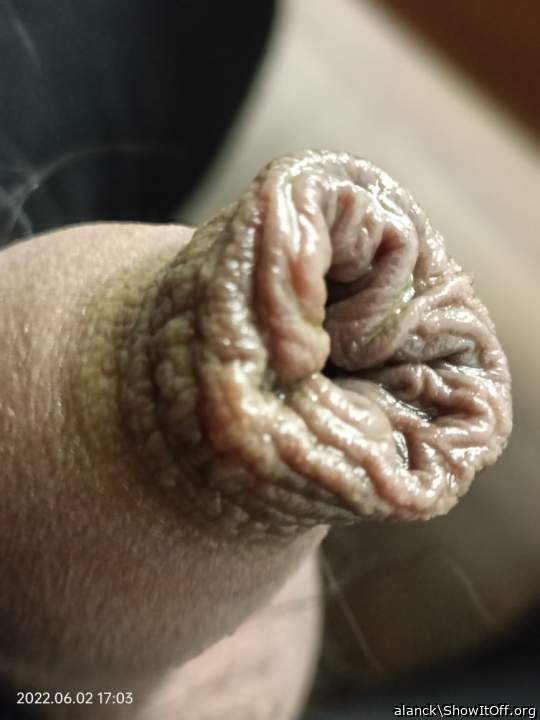 tasty foreskin  