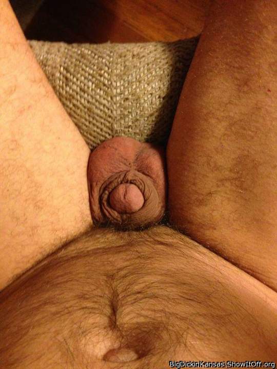 Cock at rest