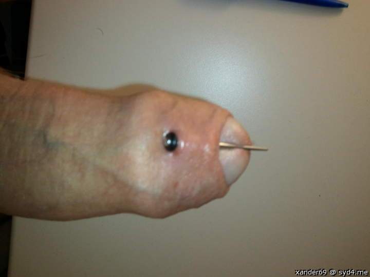 Photo of a lizard from xander69