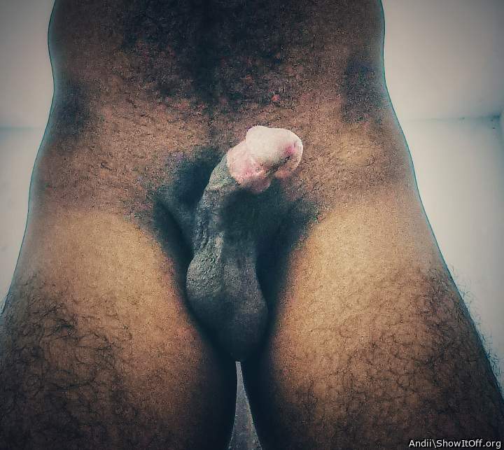 Photo of a sausage from Andii