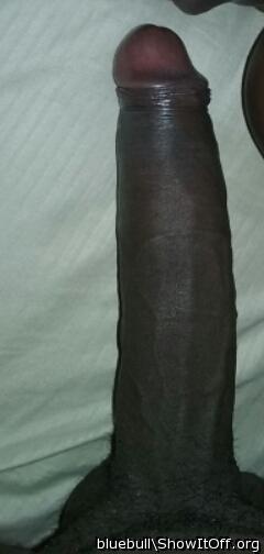 when I see a cock like yours all I can think is how I'd love