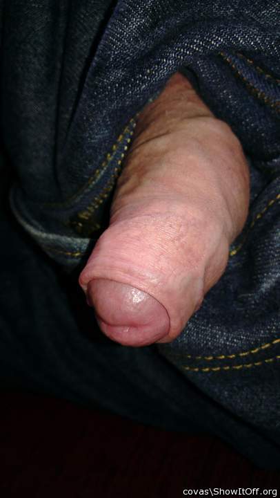 Photo of a stiffie from covas