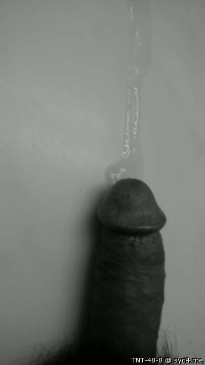 Photo of a joystick from TNT-48-8
