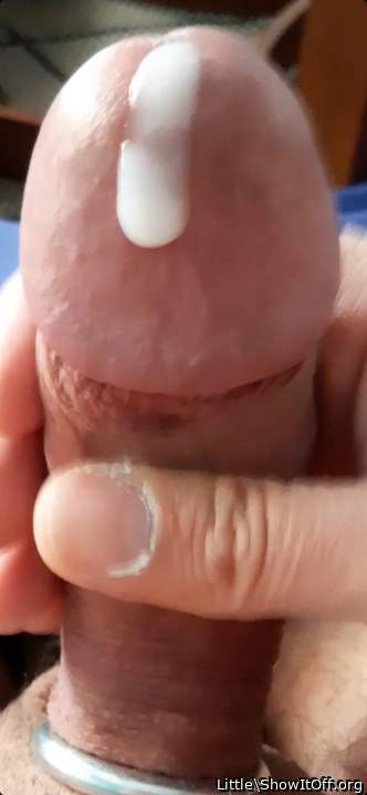 Photo of a bald-headed mouse from Little