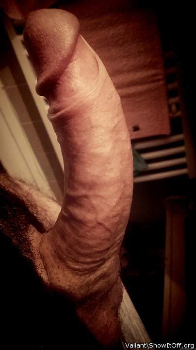Photo of a cock from Valiant