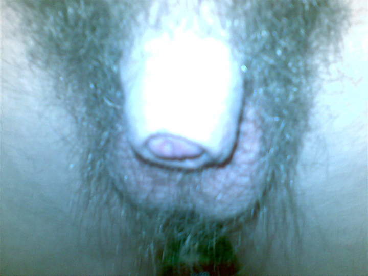 Photo of a purple headed monster from 450