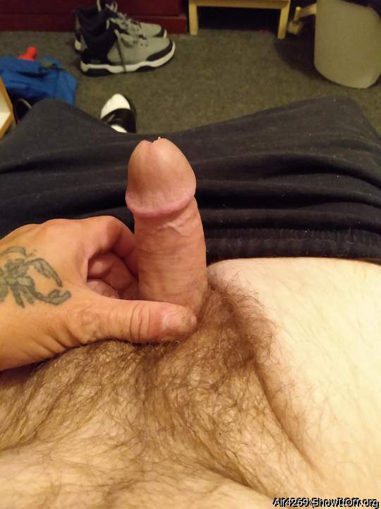 Photo of a phallus from Alf4269
