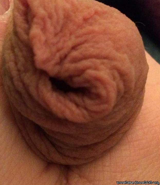 Photo of a short leg from snowflake