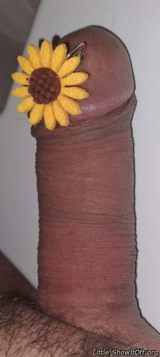 Photo of a dong from Little
