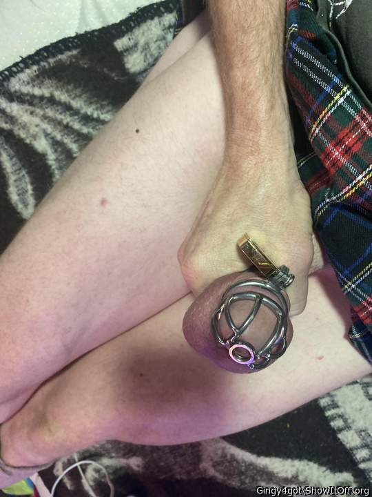   So lovely
I would love to suck it in its cage  