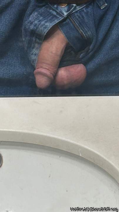 Photo of a weasel from Hotfire1$