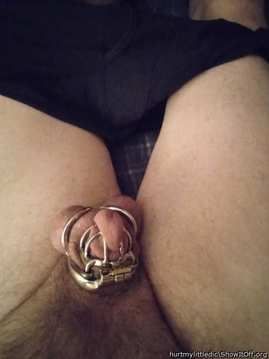 If my dink keeps shrinking, it's going to need a smaller cage...
