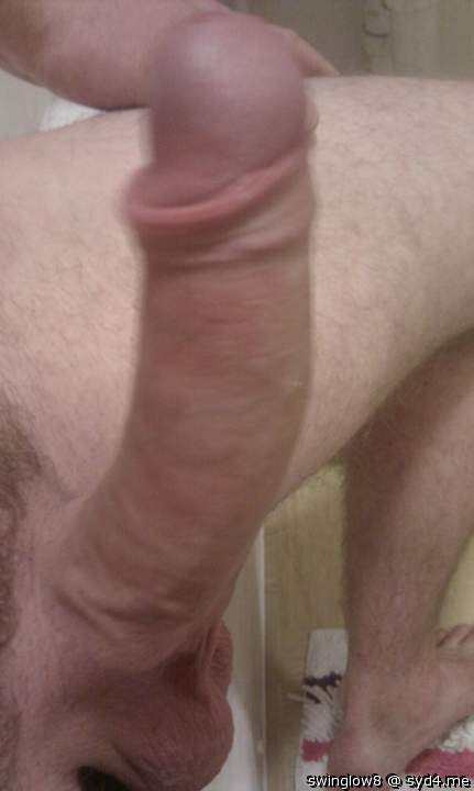 Photo of a snake from swinglow8