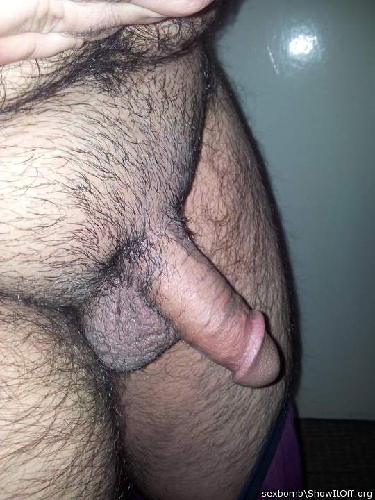 Photo of a lizard from Sexbomb