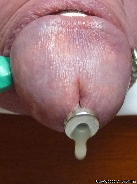 Electrosex IV