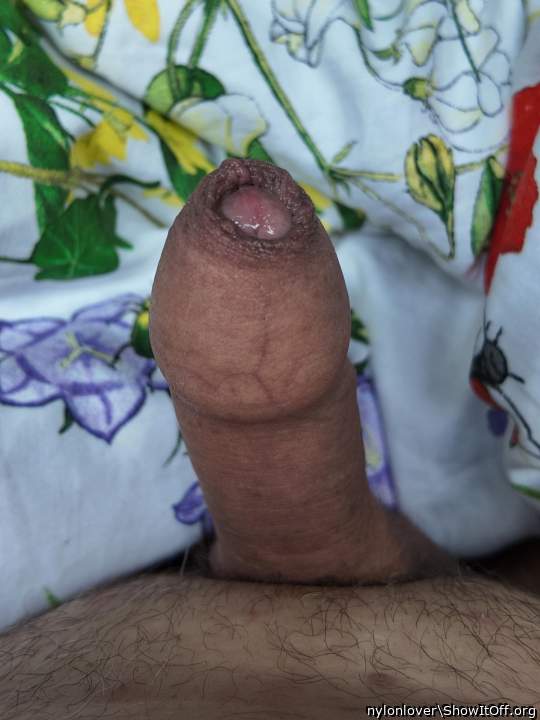 Photo of a third leg from nylonlover