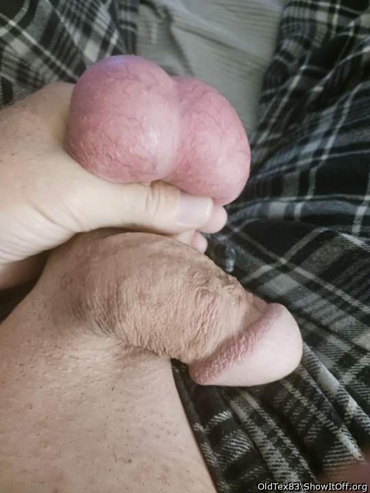 Beautiful nut sack 