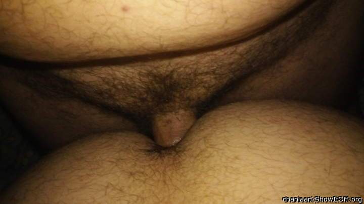 Adult image from chaniaan