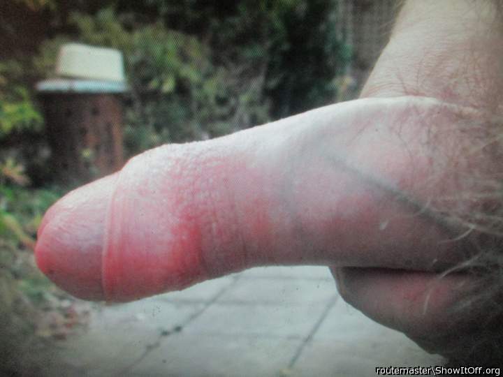 My dick outdoors in the garden a dozen or so years ago