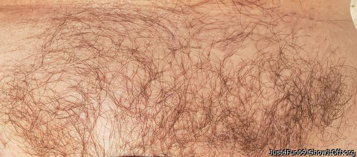 Closeup of My Sparse Pubes