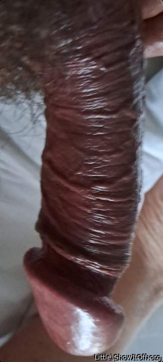 Photo of a rooster from Little