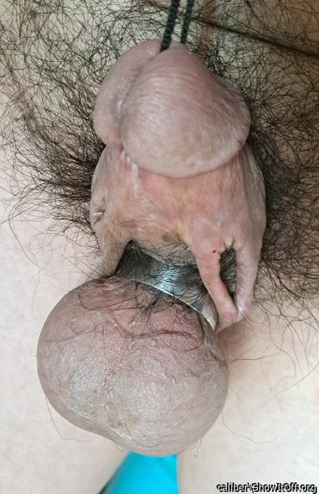 Photo of a short leg from caliber