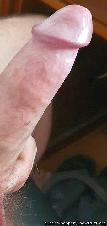 Photo of a hot dog from aussiewhopper