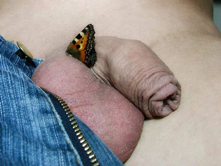 balls and butterfly