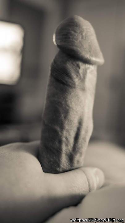 Photo of a horn from Wolfpack95