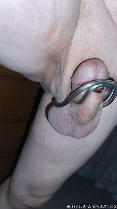Photo of a dick from eusay1587