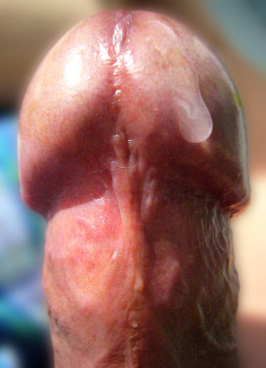 Injuu (&#28139;&#27713;)