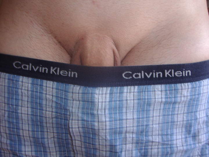 Adult image from stecher