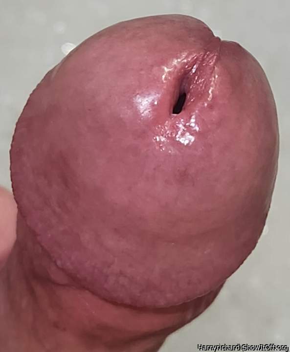 Big cockhead