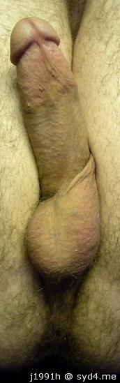 Photo of a phallus from J1991h