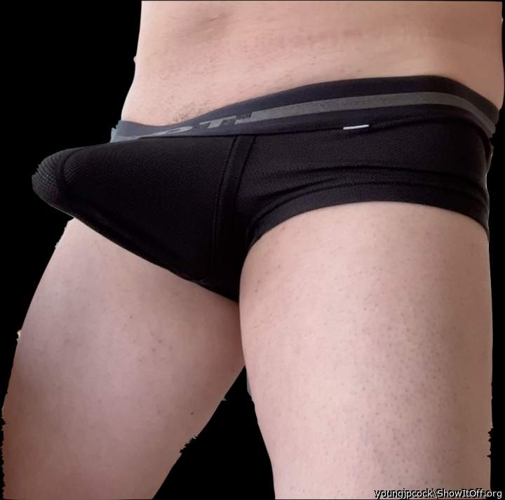 Adult image from youngjpcock