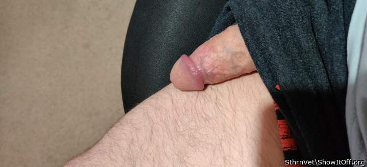 Photo of a prick from SthrnVet